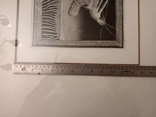 Pippa Ann Skotnes - UNTITLED