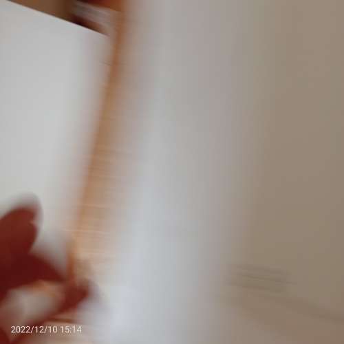 Pranas Domsaitis (South African art library)