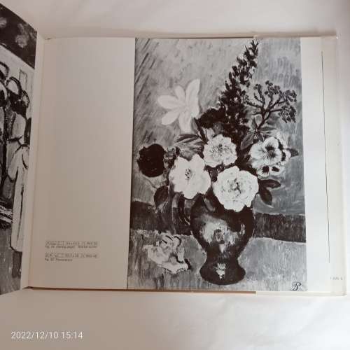 Pranas Domsaitis (South African art library)