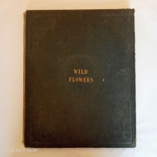 Wild Flowers - Anne Pratt (1853)