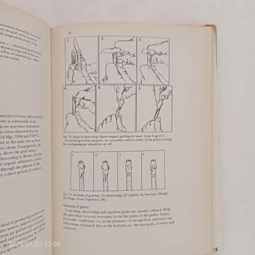 Practical Viticulture - D. P. Pongracz