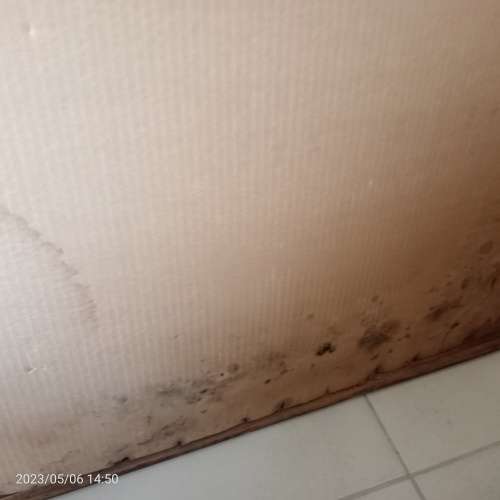 Titia Ballot, Geboorteplek (1986) 3/25