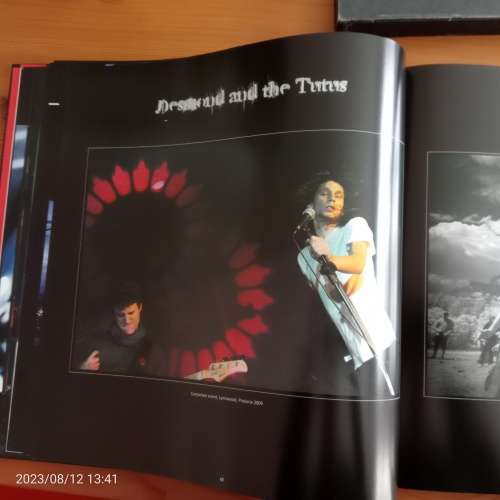 Sean Brand: En ek kan nie ophou kyk nie - 2010