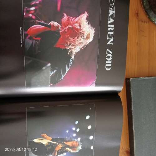 Sean Brand: En ek kan nie ophou kyk nie - 2010