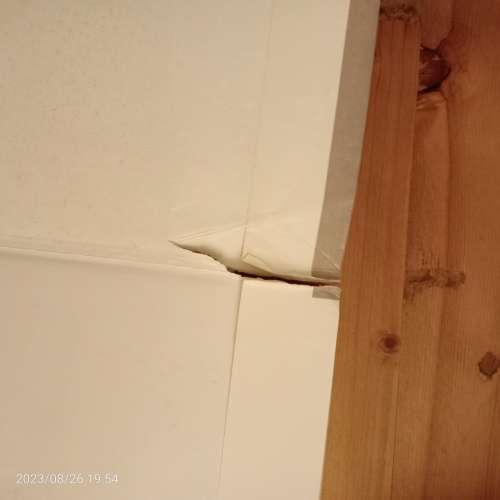 *SALE* Elephants of Africa