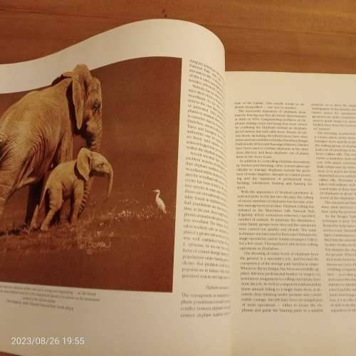 *SALE* Elephants of Africa