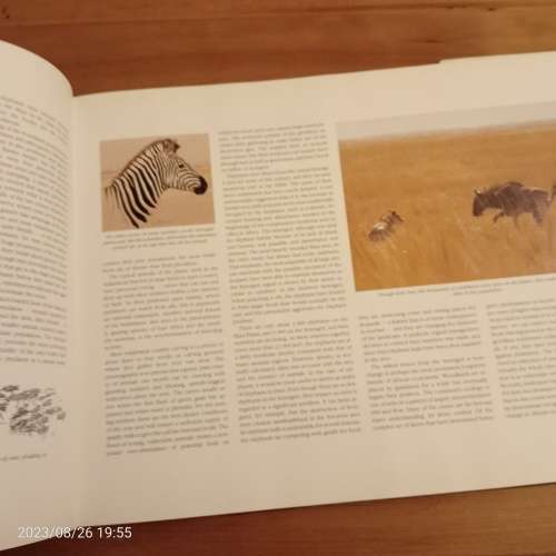 *SALE* Elephants of Africa