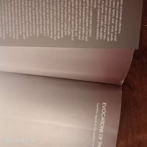 Evocations of the Child: Fertility Figures of the Southern African Region