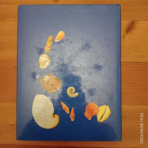 Sea Shells of Southern Africa - Richard Kilburn, Elizabeth Rippey