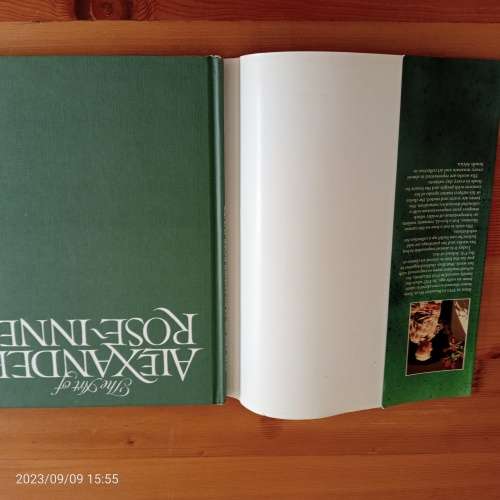 The Art of Alexander Rose-Innes - Martin Bekker