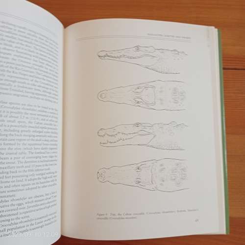 Crocodiles - Rodney Steel