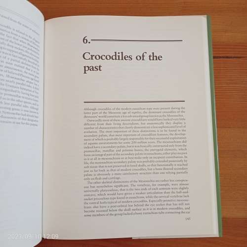 Crocodiles - Rodney Steel