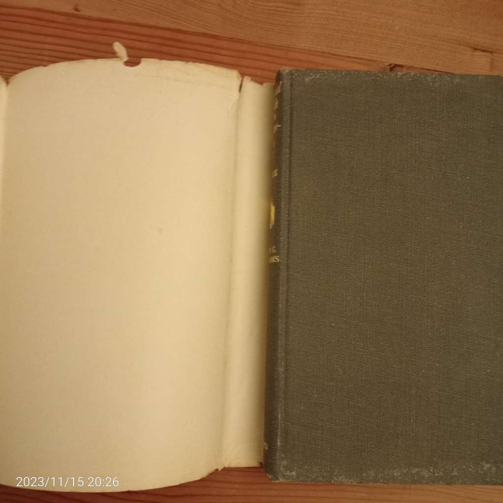 CLEARANCE! A Field Guide to the Butterflies of Africa - John George Williams