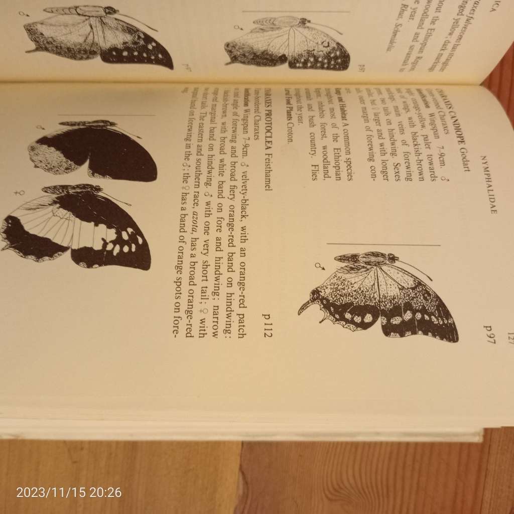 CLEARANCE! A Field Guide to the Butterflies of Africa - John George Williams