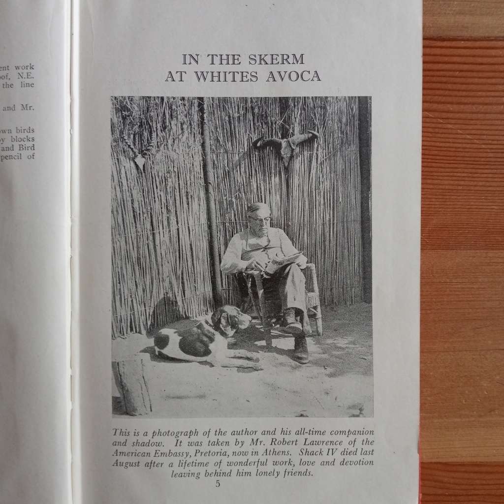 CLEARANCE! Call Of The Bushveld - A. C. White