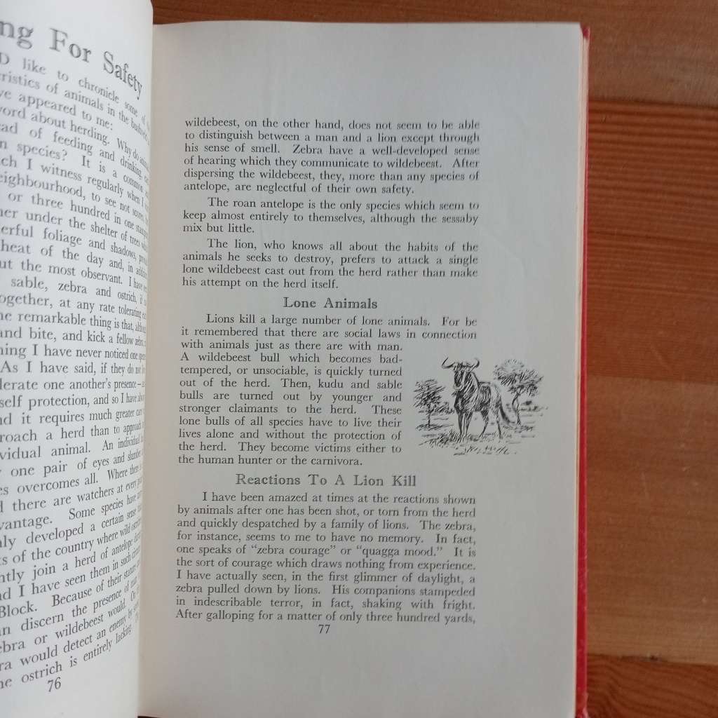 CLEARANCE! Call Of The Bushveld - A. C. White