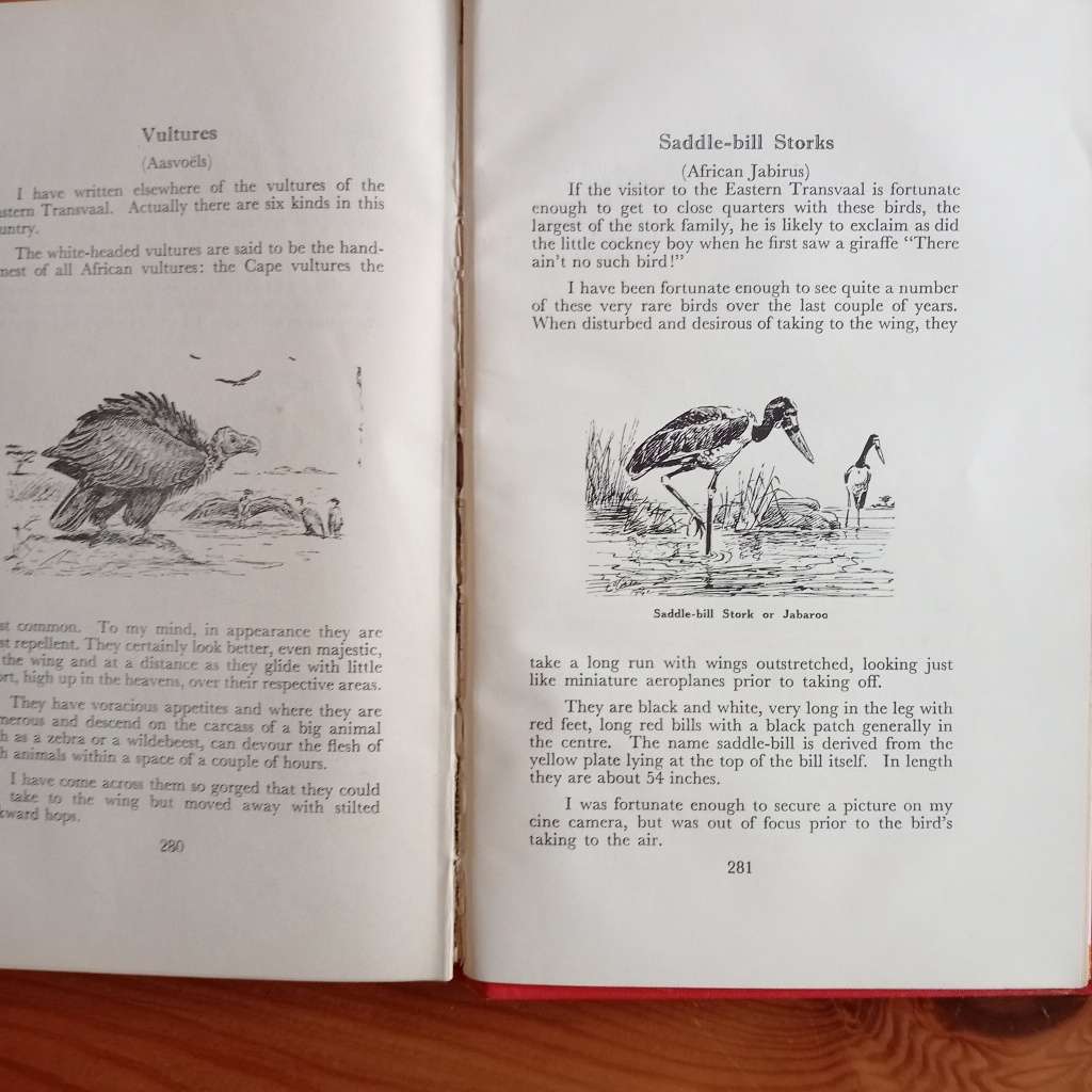 CLEARANCE! Call Of The Bushveld - A. C. White