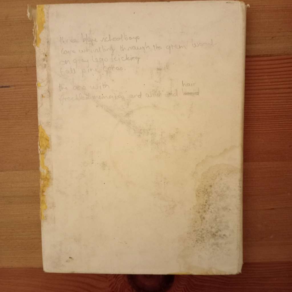 CLEARANCE! Echoes of Yesterday - Cedryl Greenland