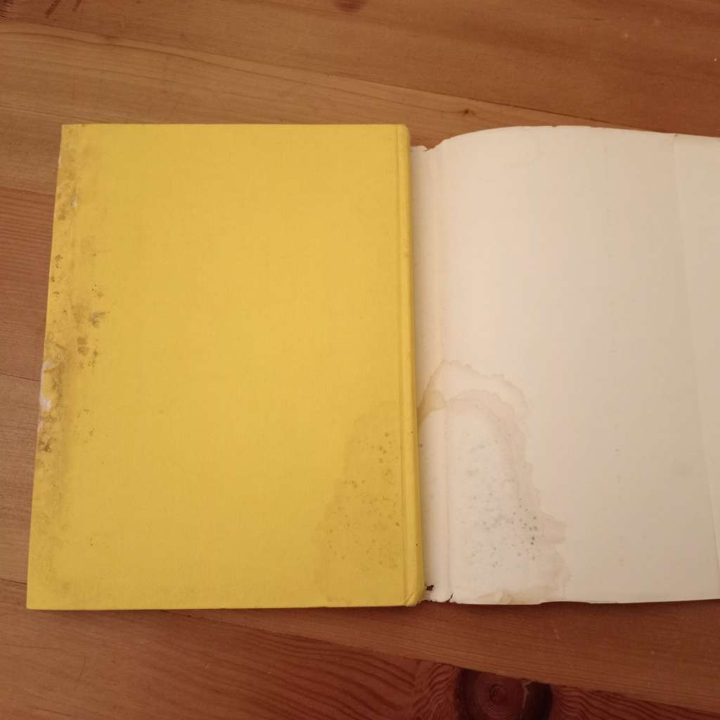 CLEARANCE! Echoes of Yesterday - Cedryl Greenland