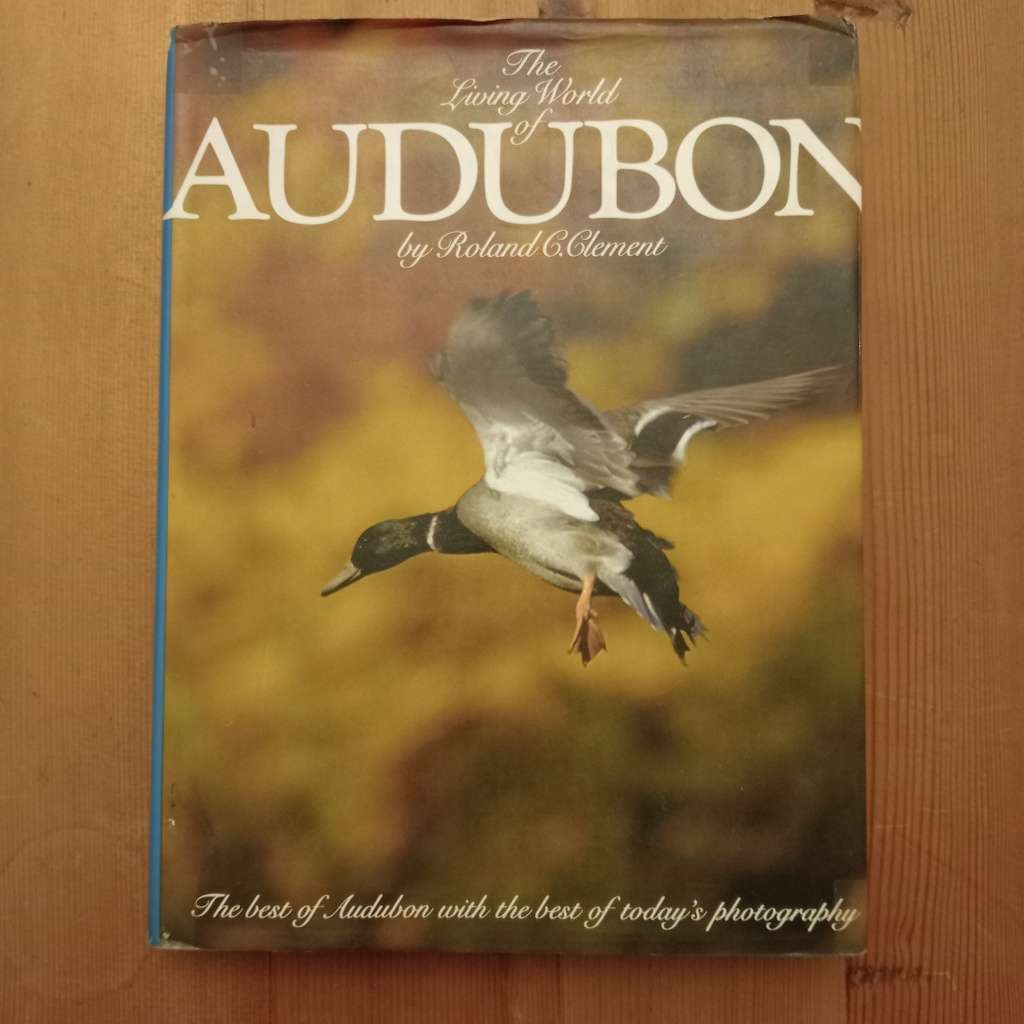 CLEARANCE! The Living World of Audubon - Roland C Clement