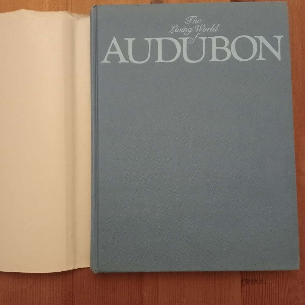 CLEARANCE! The Living World of Audubon - Roland C Clement