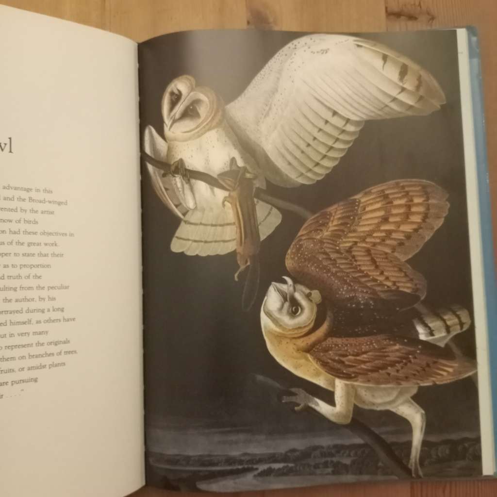 CLEARANCE! The Living World of Audubon - Roland C Clement