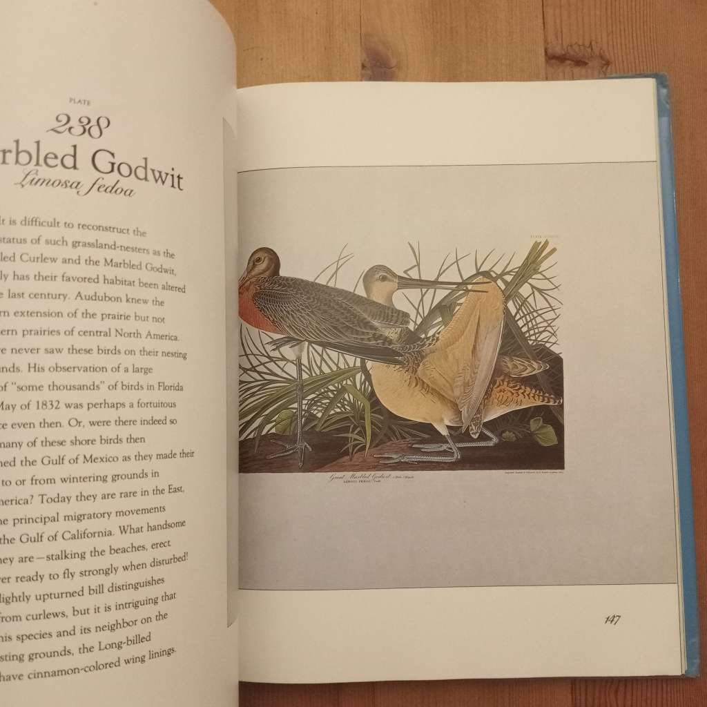 CLEARANCE! The Living World of Audubon - Roland C Clement