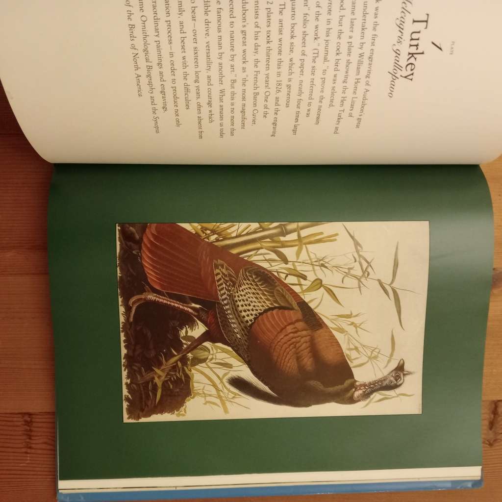 CLEARANCE! The Living World of Audubon - Roland C Clement