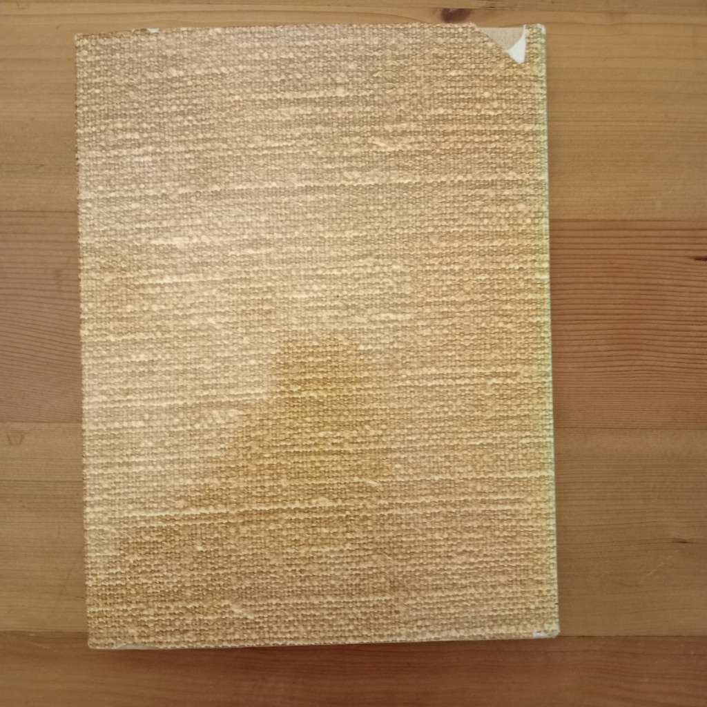 Contemporary African art in South Africa - E. J. De Jager