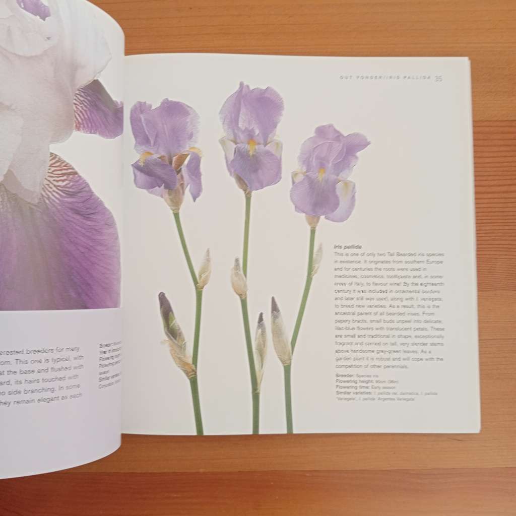 CLEARANCE! Iris: The Classic Bearded Varieties - Claire Austin