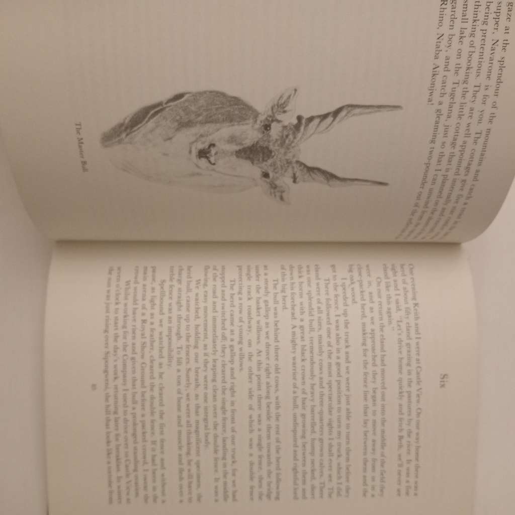 CLEARANCE! Valley of the Eland - Venn Fey