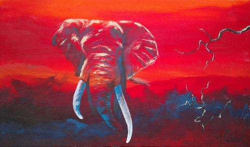 INVESTMENT ARTWORK - Original Mario Pelser (1976-) "Elephant" 35cm x 60cm