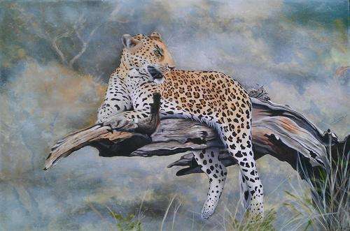 INVESTMENT ARTWORK - Original Mario Pelser (1970) "Leopard" 900mm x 600mm