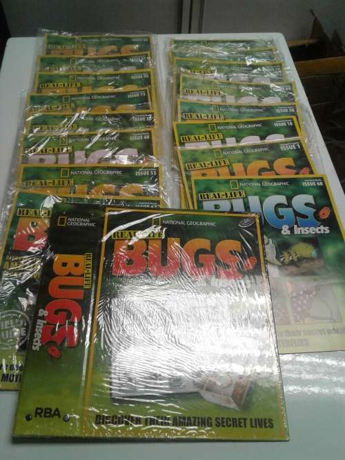 18 ISSUES OF ALL SORTS NATIONAL GEOGRAPHY BUGS AND INSECTS MAGAZINES INCL.A BUG FILE,ONE BID