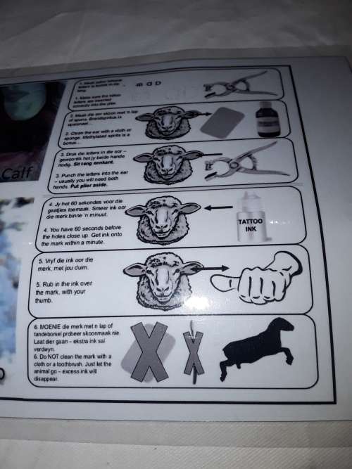 TATTOO KIT COMBO(FOR ANIMALS)