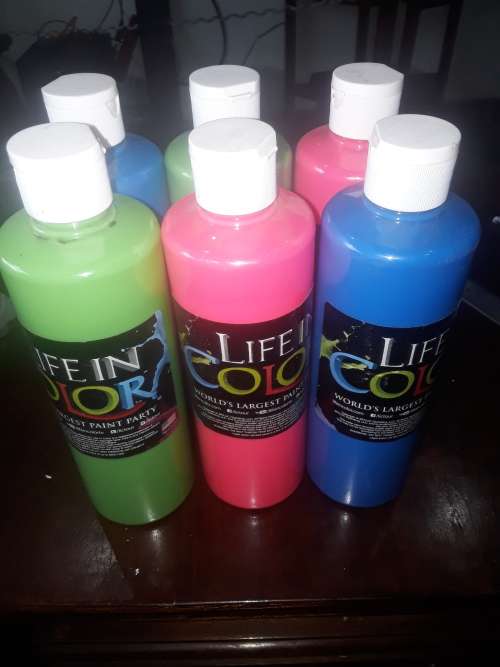 SET OF 6 LIFE IN COLOR PAINT(FOR PAINT PARTY)MADE IN USA