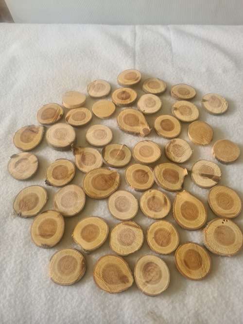 WOOD SLICES MINIATURES (CENTRE PIECE)OVER 50 PIECES