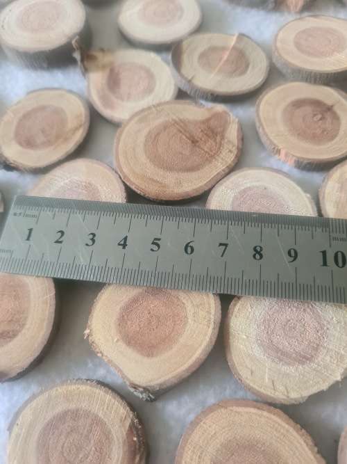 WOOD SLICES MINIATURES (CENTRE PIECE)OVER 50 PIECES