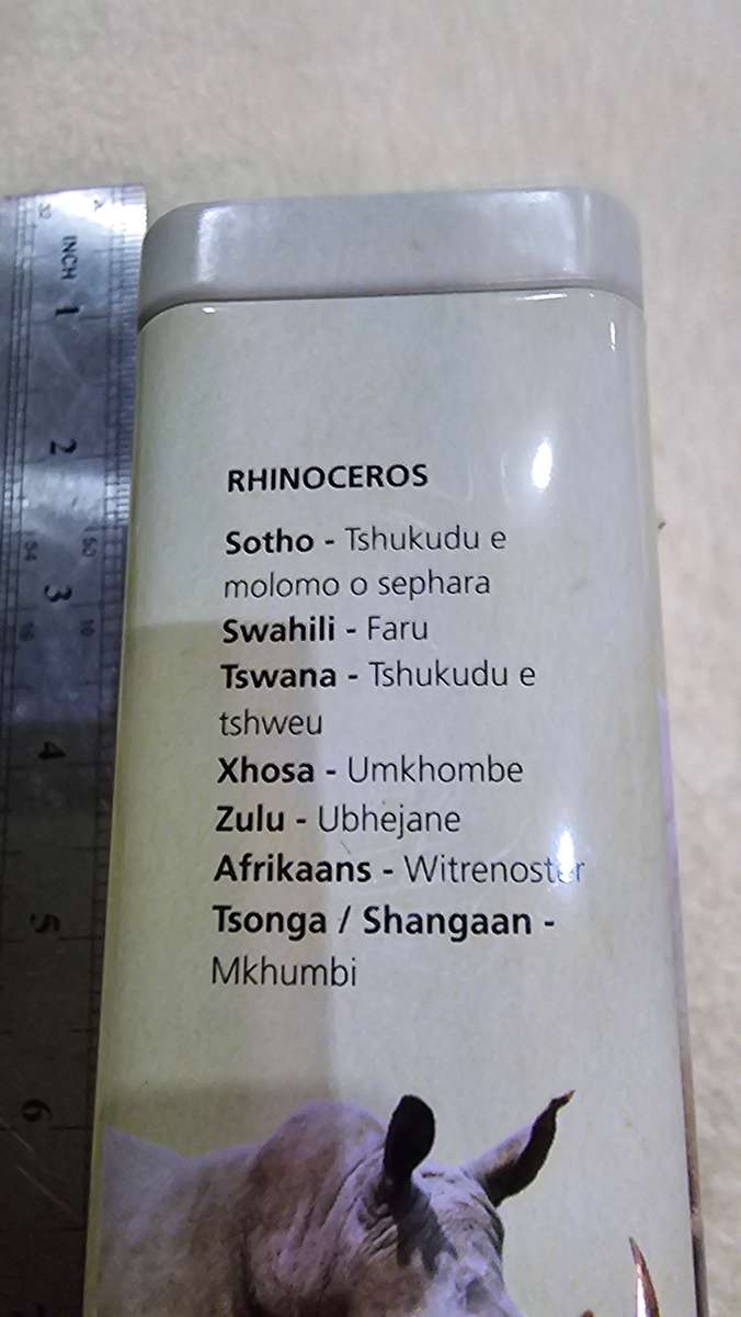 SET OF FIVE AFRICA RESERVE COLLECTIVE ANIMAL PRINT TINS