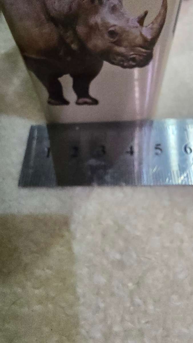 SET OF FIVE AFRICA RESERVE COLLECTIVE ANIMAL PRINT TINS