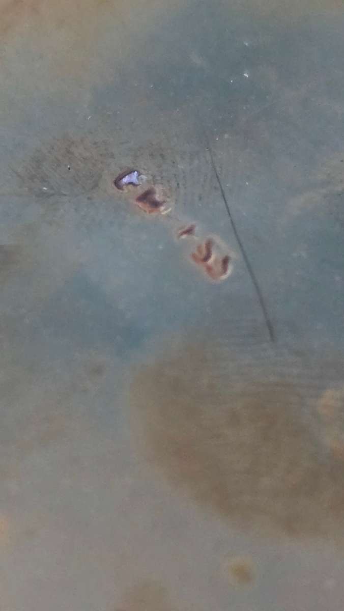 VINTAGE SILVERPLATED CANDLEBRA VASE