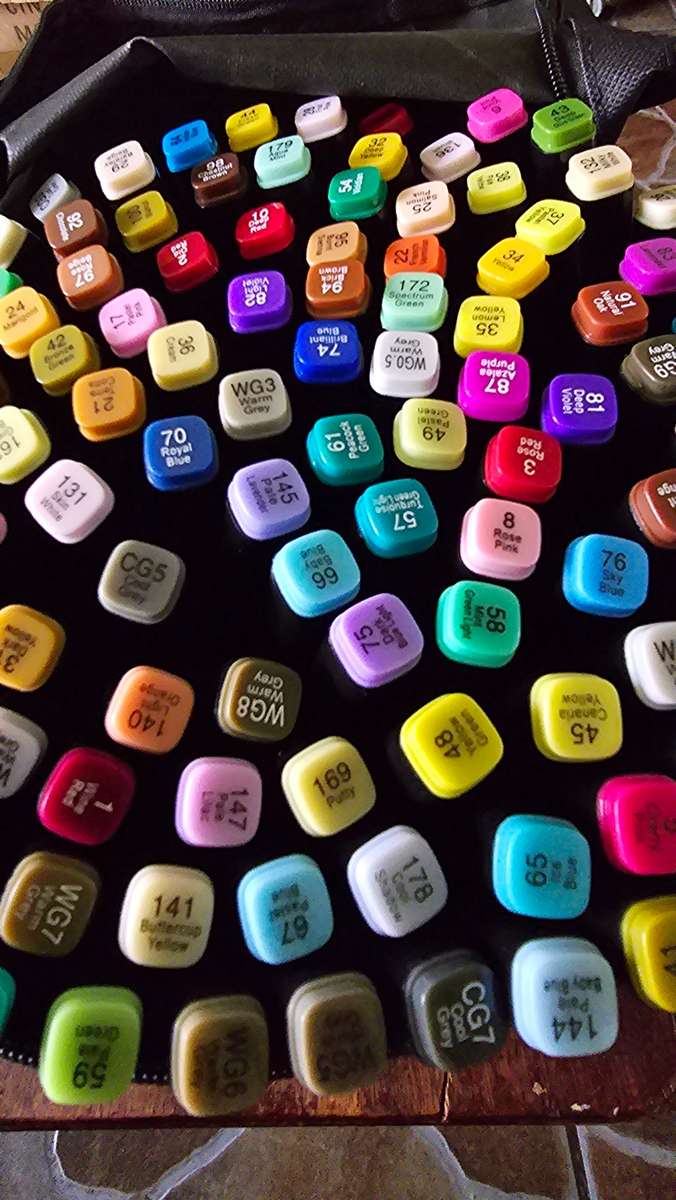 120 PIECES TWIN HEAD MARKER PENS