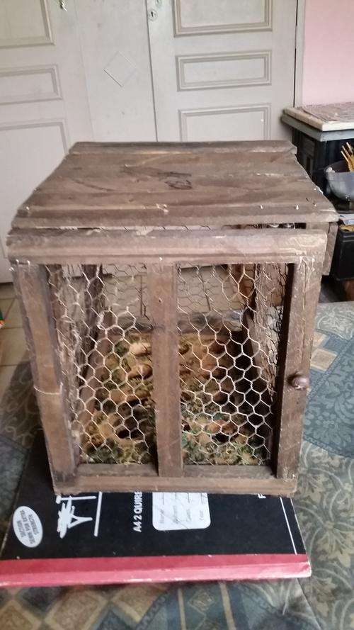 WOODEN EGG HOUSE-SEE DESCRIPTION