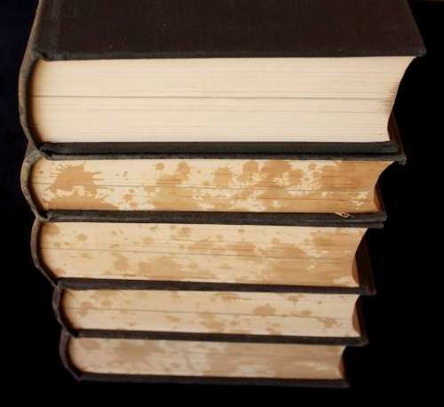 DIE GESKIEDENIS VAN DIE TWEEDE VRYHEIDSOORLOG IN SUID-AFRIKA - J.H. Breytenbach