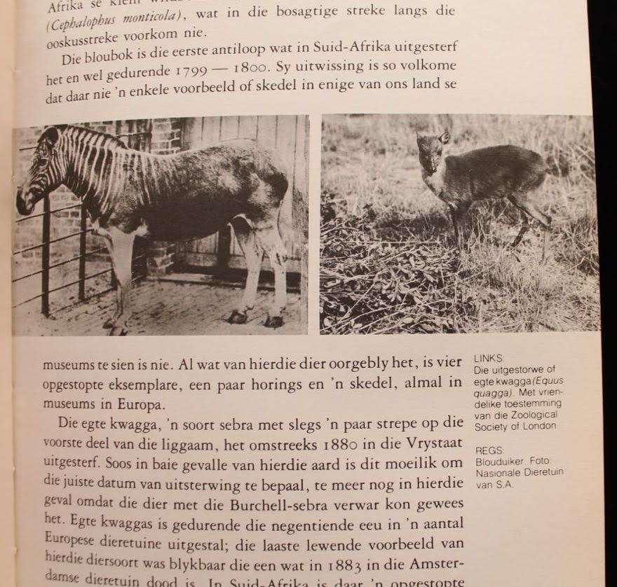 NATUURBEWARING - 'N HANDLEIDING  - R. BIGALKE - GETEKEN