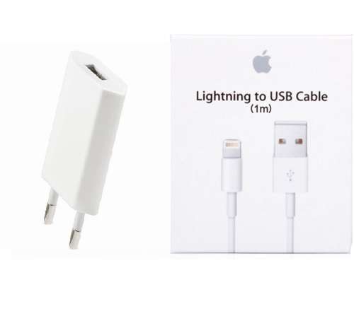 OEM Apple iPhone and iPad Charger + USB Cable