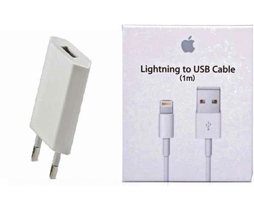 OEM Apple iPhone and iPad Charger + USB Cable