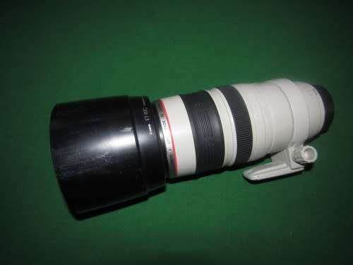 Canon EF 100-400 f4.5-5.6 mm IS USM Lens