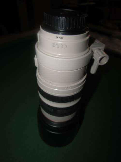 Canon EF 100-400 f4.5-5.6 mm IS USM Lens