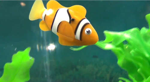 Robot Fish